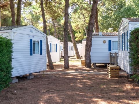 Camping Les Maraises - Camping Charente-Maritime - Image N°19