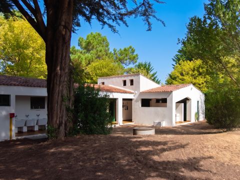 Camping Les Maraises - Camping Charente-Maritime - Image N°20
