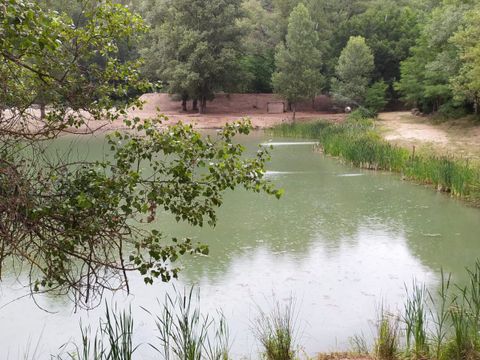 Tente en toile et en bois 4 personnes - Cabane Confort Lodge sur pilotis 32m²
