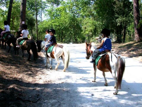Camping Le Logis  - Camping Charente-Maritime - Image N°17