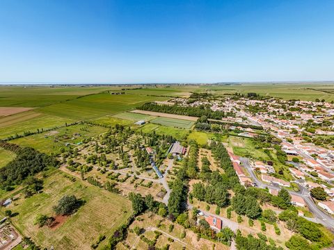 Camping La Dive - Camping Vendée - Image N°6