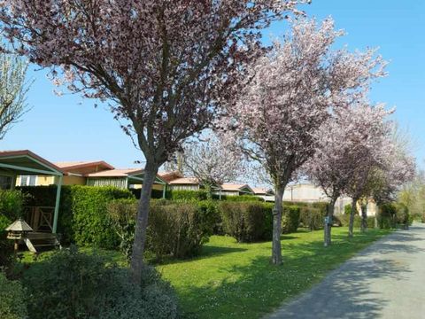 Flower Camping L'Abri-Côtier - Camping Charente-Maritime - Image N°7
