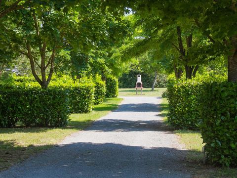 Flower Camping L'Abri-Côtier - Camping Charente-Maritime - Image N°26