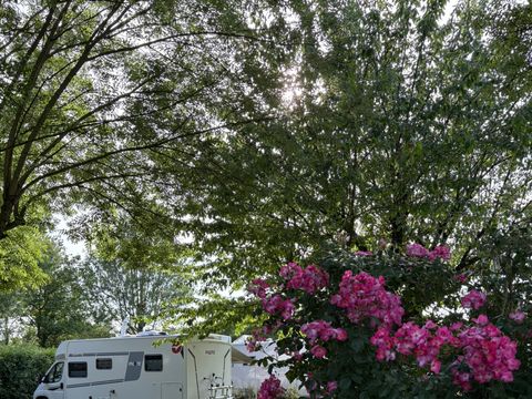 Flower Camping L'Abri-Côtier - Camping Charente-Maritime - Image N°22