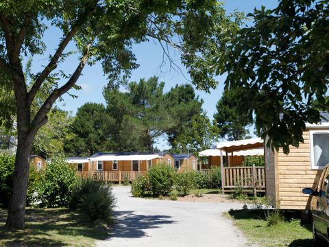MOBILHOME 4 personnes - Confort 22m² - 2 chambres - Terrasse semi-couverte - TV - lave-vaisselle