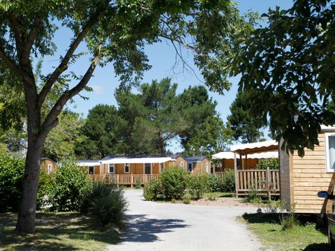 MOBILHOME 4 personnes - Confort 28m² - 2 chambres - Terrasse couverte - TV - lave-vaisselle