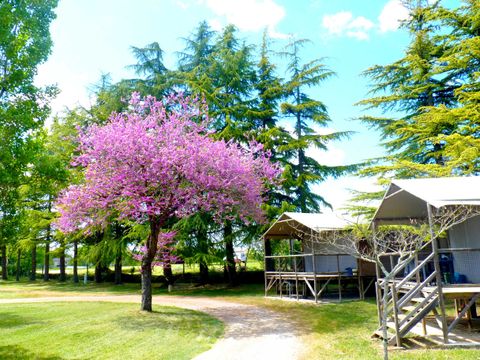 HÉBERGEMENT INSOLITE 6 personnes - CABANE SUR PILOTIS