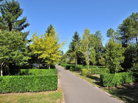 Camping des Abesses - Camping Landes - Image N°6