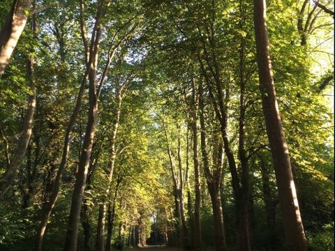 Camping des Abesses - Camping Landes - Image N°5