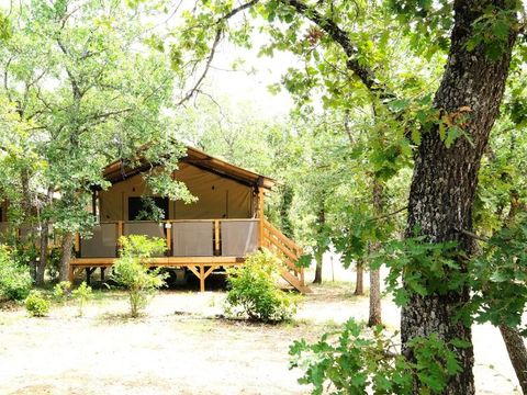 Camping Domaine des Chênes Blancs Pausado - Camping Vaucluse - Image N°9