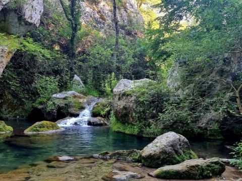 Camping Domaine des Chênes Blancs Pausado - Camping Vaucluse - Image N°43