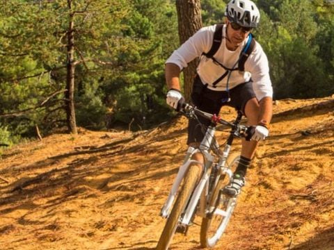 Camping Domaine des Chênes Blancs Pausado - Camping Vaucluse - Image N°22