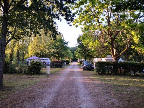 Camping Parc des Joumiers - Camping Yonne