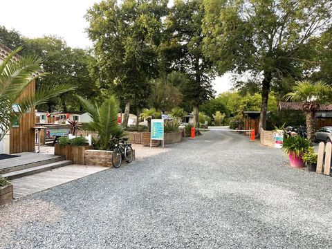 Camping Walmone - Camping Charente-Maritime - Image N°31