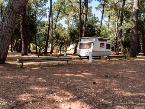 Camping Oléron Saint Tro'Park - Camping Charente-Maritime - Image N°7