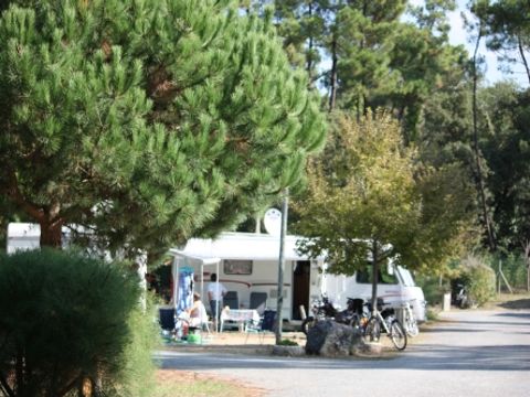 Emplacement - Forfait Confort (1 tente, caravane ou camping-car / 1 voiture / électricité 10A)