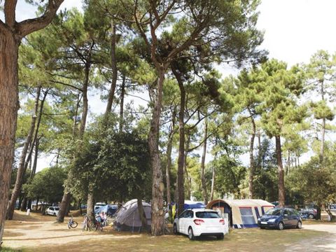 Emplacement - Forfait Confort (1 tente, caravane ou camping-car / 1 voiture / électricité 10A)