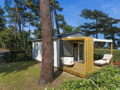 CHALET 4 personnes - Chalet Confort 26.5m² (2 chambres) + terrasse couverte + TV