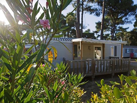 MOBILHOME 4 personnes - Mobil-home Confort 27.5m² (2 chambres) + terrasse bois semi-couverte 11m²