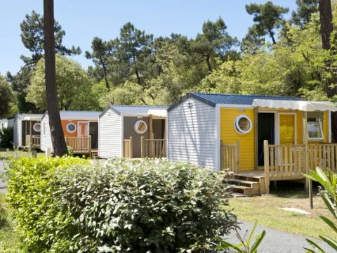 Camping Oléron Saint Tro'Park - Camping Charente-Maritime - Image N°9