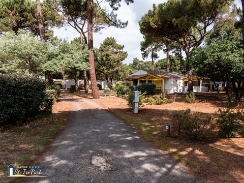 Camping Oléron Saint Tro'Park - Camping Charente-Maritime - Image N°6