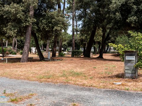 Camping Oléron Saint Tro'Park - Camping Charente-Maritime - Image N°29