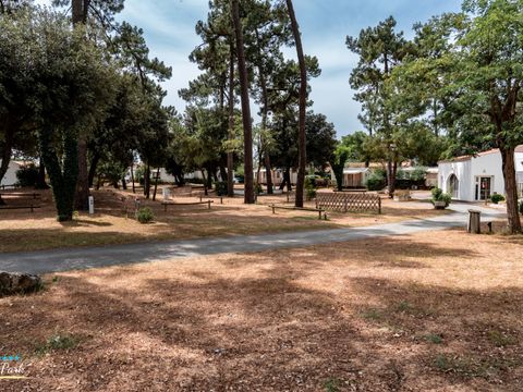 Camping Oléron Saint Tro'Park - Camping Charente-Maritime - Image N°26