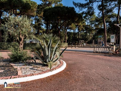 Camping Oléron Saint Tro'Park - Camping Charente-Maritime - Image N°17