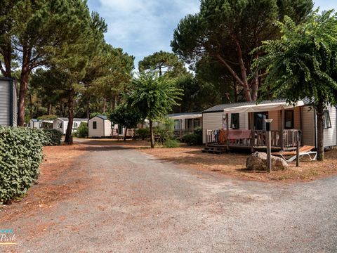 Camping Oleron Saint Tro'Park - Camping Charente-Maritime - Image N°24