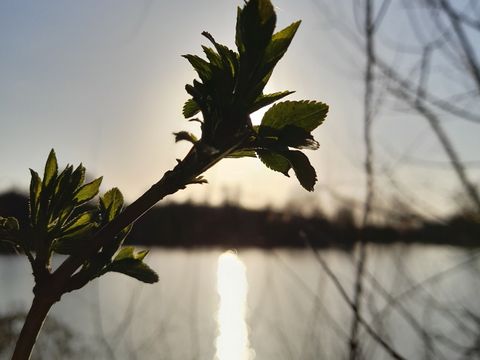 Camping Les Rulières - Camping Vendée - Image N°13