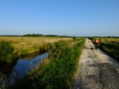 Camping maeva Escapades Les Etangs Mina - Camping Charente-Maritime - Image N°85