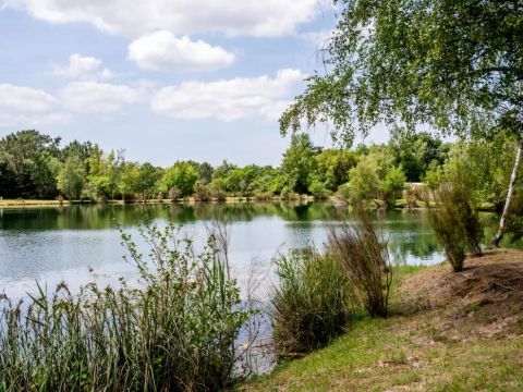 Camping Les Etangs Mina - Camping Charente-Maritime - Image N°58
