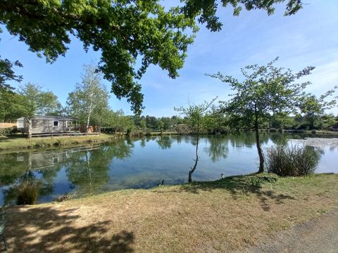 Camping Les Etangs Mina - Camping Charente-Maritime - Image N°35