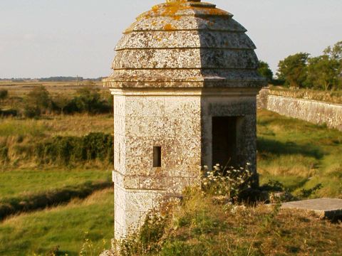 Camping maeva Escapades Les Etangs Mina - Camping Charente-Maritime - Image N°86