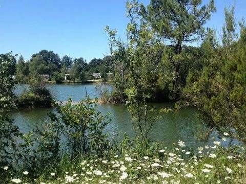 Camping Les Etangs Mina - Camping Charente-Maritime - Image N°36
