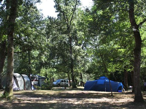Emplacement - Forfait emplacement tente, caravane ou camping-car + véhicule