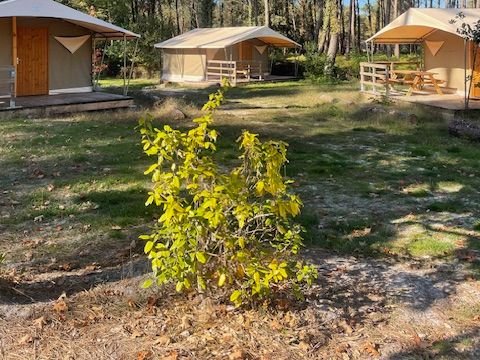 Camping Vert Bord D'eau - Camping Gironde - Image N°5