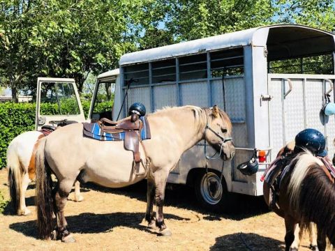 Camping La Bolée d'Air - Camping Vendée - Image N°35