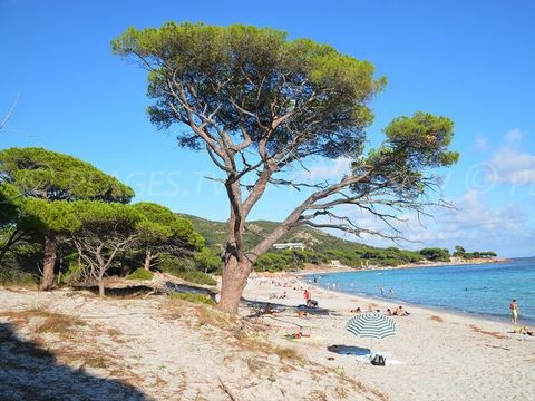 Residence San Martinu - Camping Corse du Sud - Image N°12