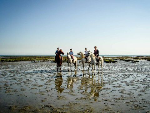 Camping Les Grenettes  - Camping Charente-Maritime - Image N°35