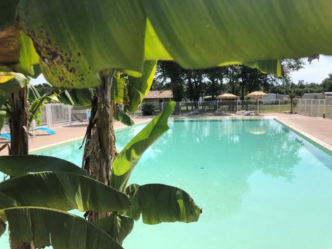 Camping Las Chancas - Camping Landes - Image N°12