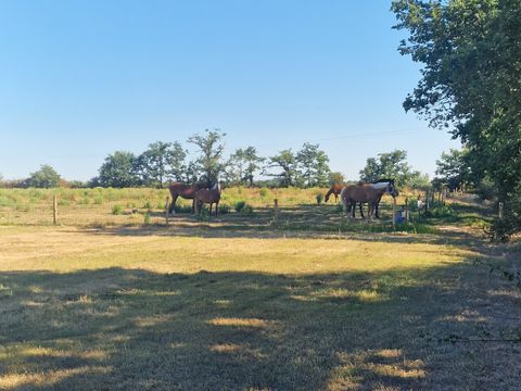 Camping Les P'tites Maisons dans la Prairie - Camping Vendée - Image N°45