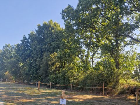 Camping Les P'tites Maisons dans la Prairie - Camping Vendée - Image N°44