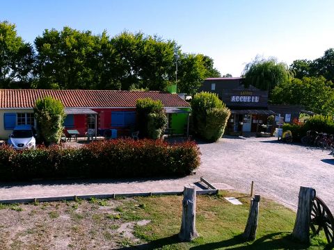 Camping Les P'tites Maisons dans la Prairie - Camping Vendée - Image N°24