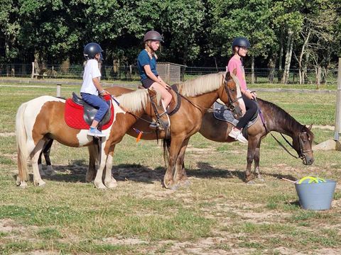 Camping Les P'tites Maisons dans la Prairie - Camping Vendée - Image N°43