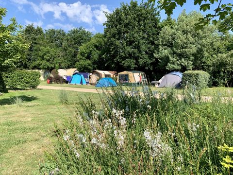 Camping Au Pré de l'Etang - Camping Vendée - Image N°13