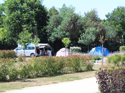 Emplacement - Emplacement voiture + tente ou caravane