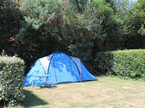Emplacement - Emplacement voiture + tente ou caravane