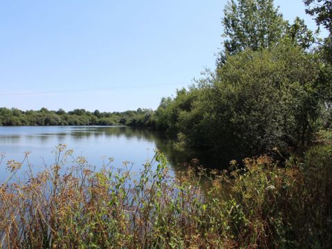 Camping Au Pré de l'Etang - Camping Vendée - Image N°22