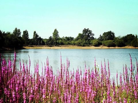 Camping Au Pré de l'Etang - Camping Vendée - Image N°10